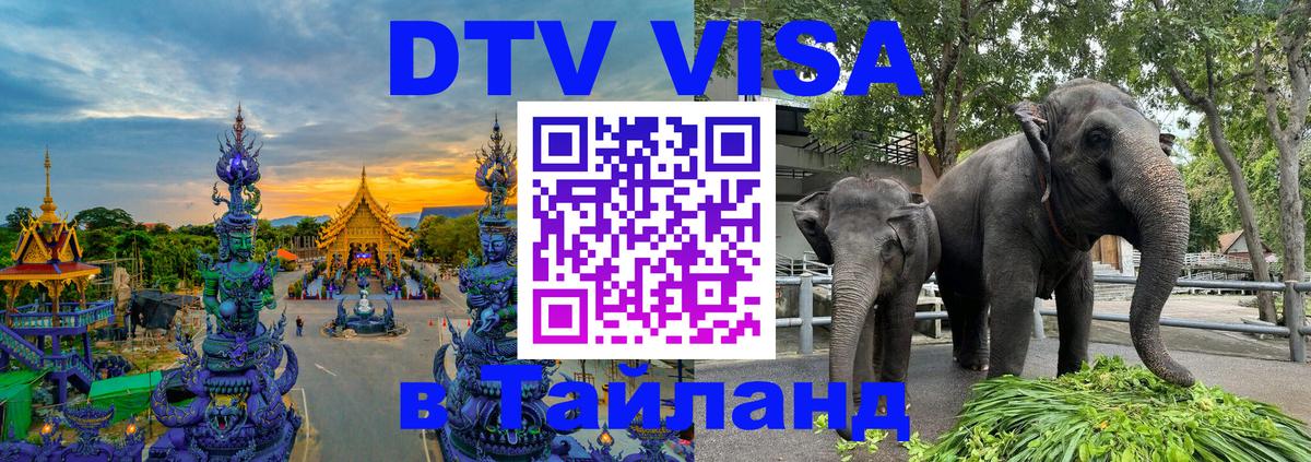 Оформление DTV визы под ключ: стоимость и тарифы, только загранпаспорт - Ставрополь  21.11.2025 